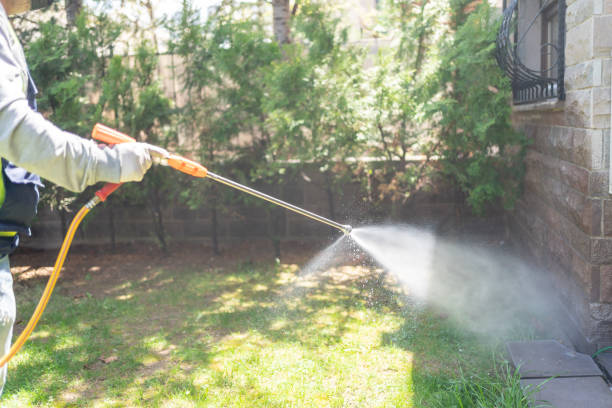 Best Lawn Pest Control  in Cashton, WI